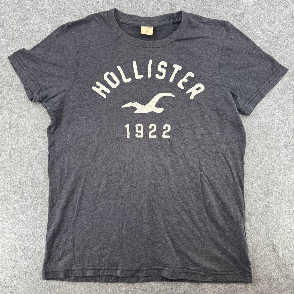 Hollister T-Shirt Mens M 1922 Applique Logo Charcoal Gray Heathered EUC